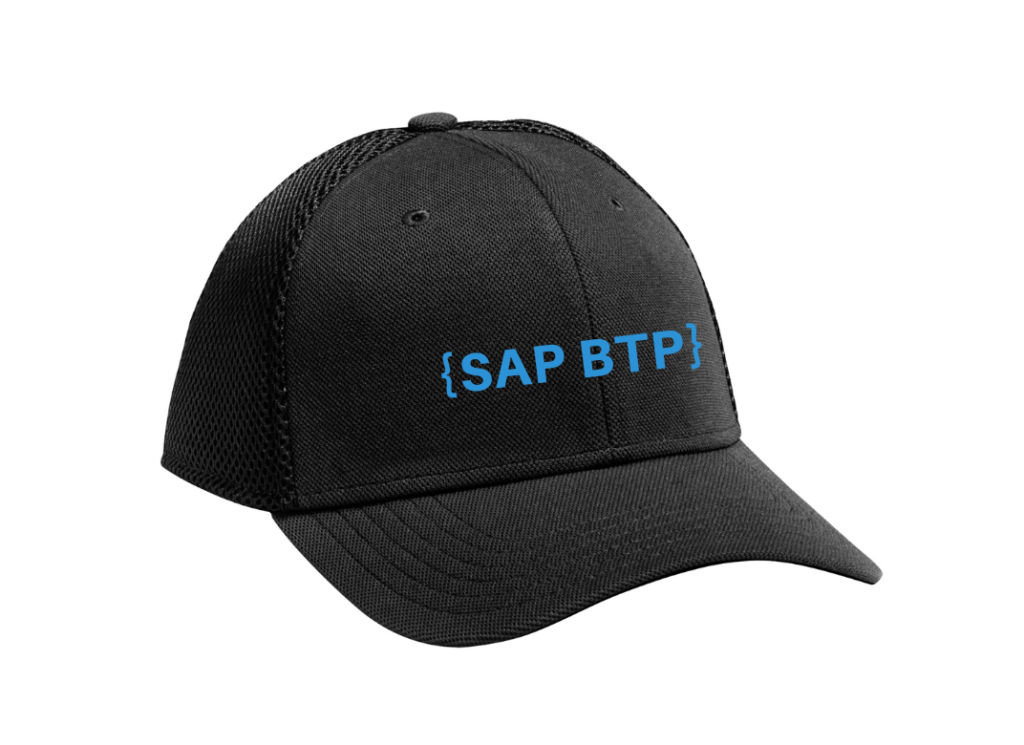 How to explain sap business technology platform to a beginner