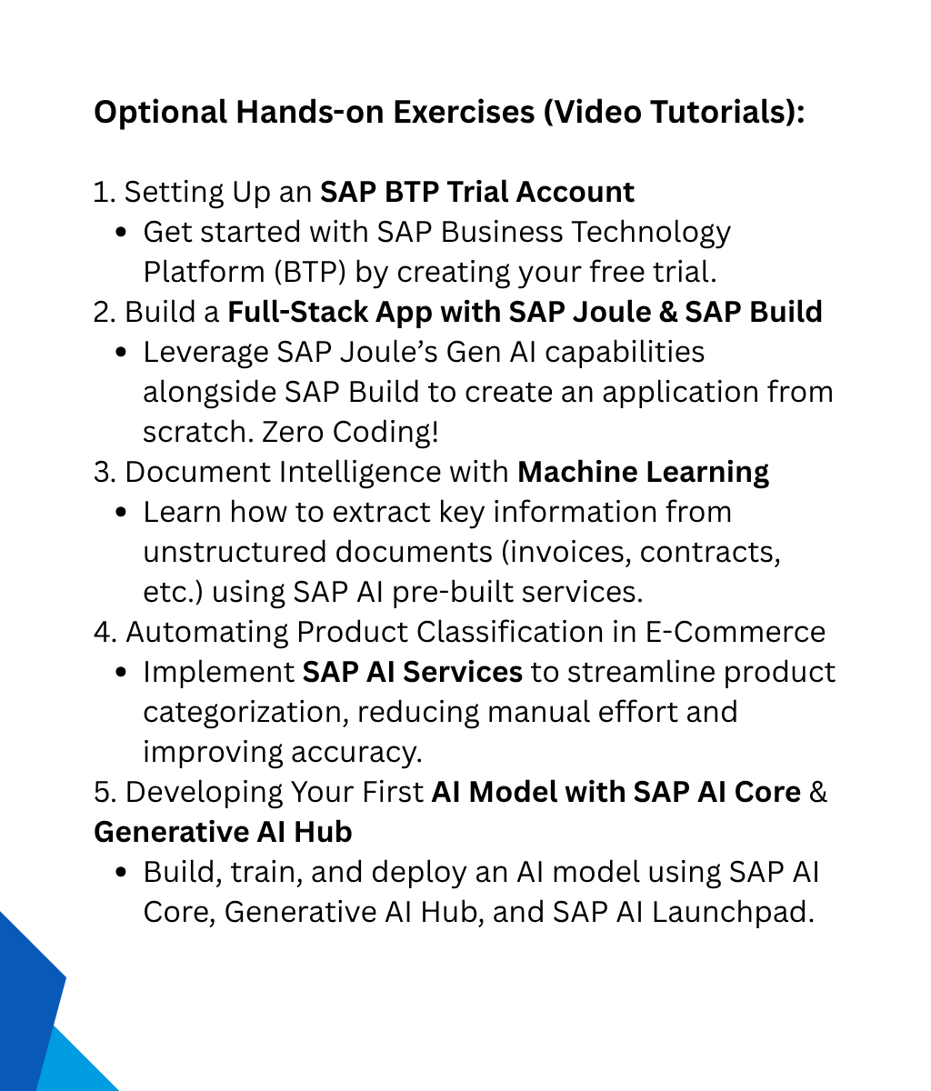SAP AI Masterclass course for sap consultants